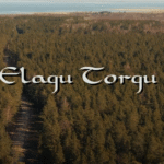 Elagu Torgu Kuningriik