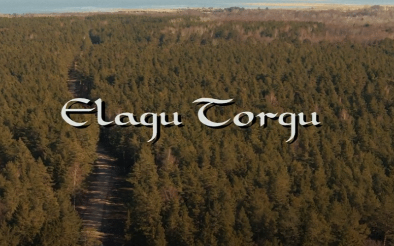 Elagu Torgu Kuningriik