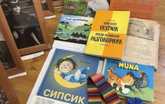 Südames elab emakeel