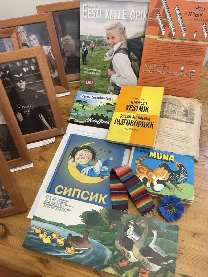 Südames elab emakeel